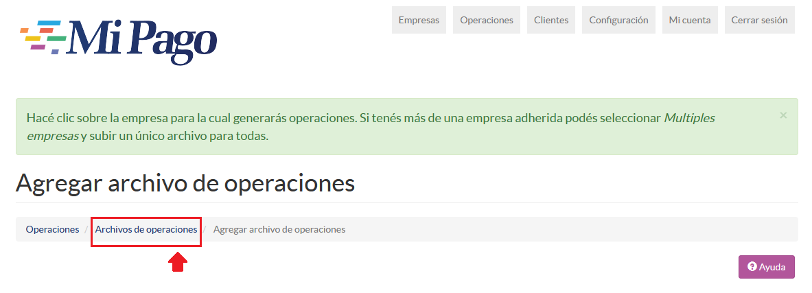 Resumen de importación